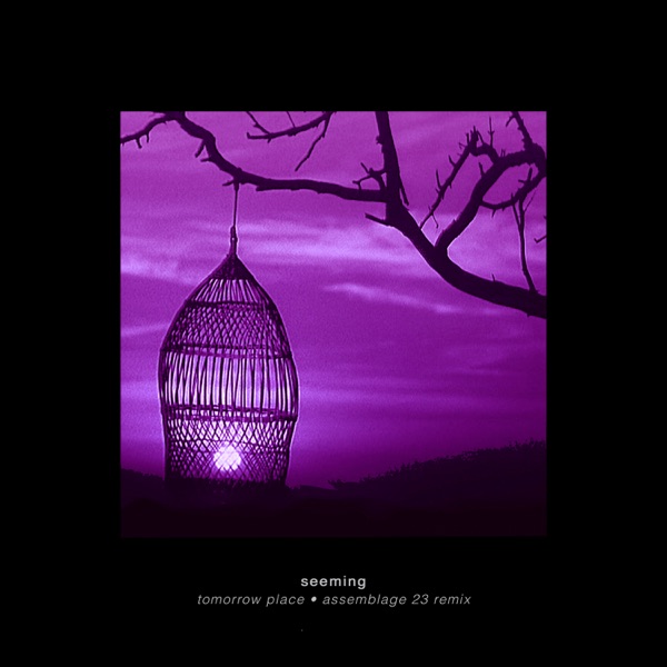 Tomorrow Place (Assemblage 23 Remix) - Single album cover