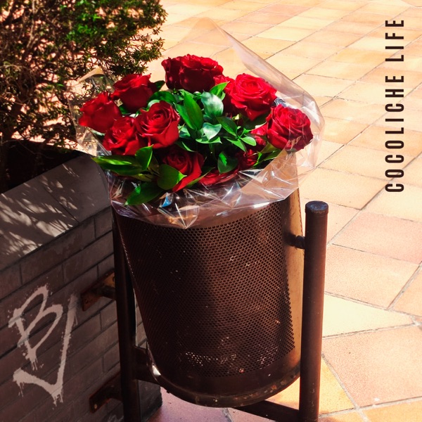 Cocoliche Life album cover