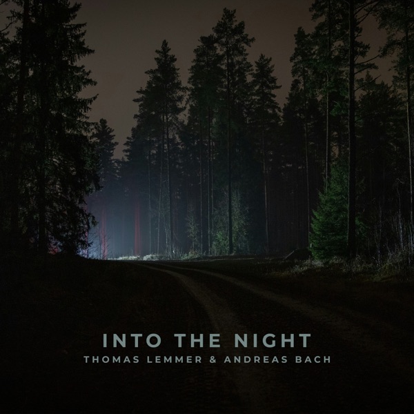 Into the Night - Single album cover
