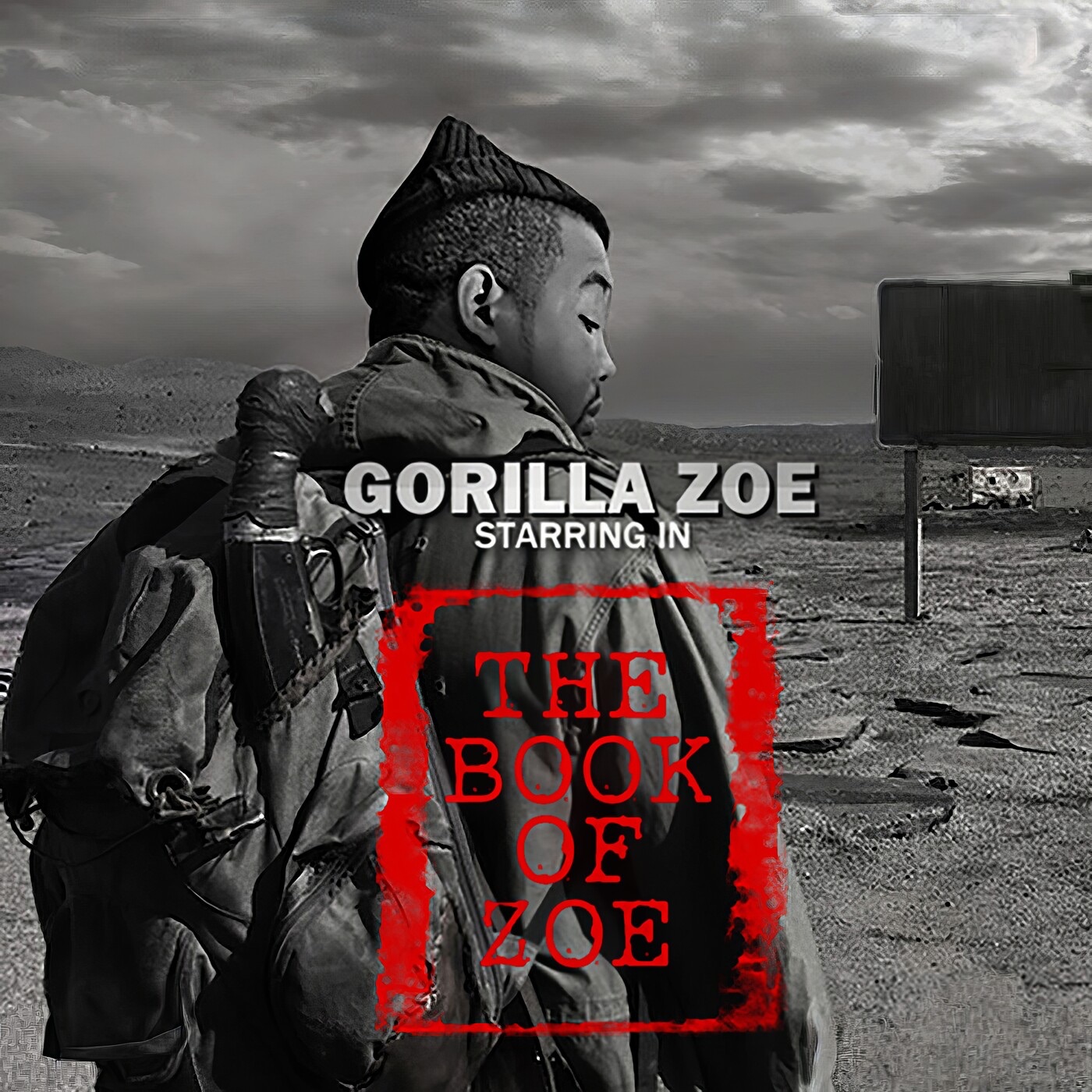 The Book of Zoe album cover