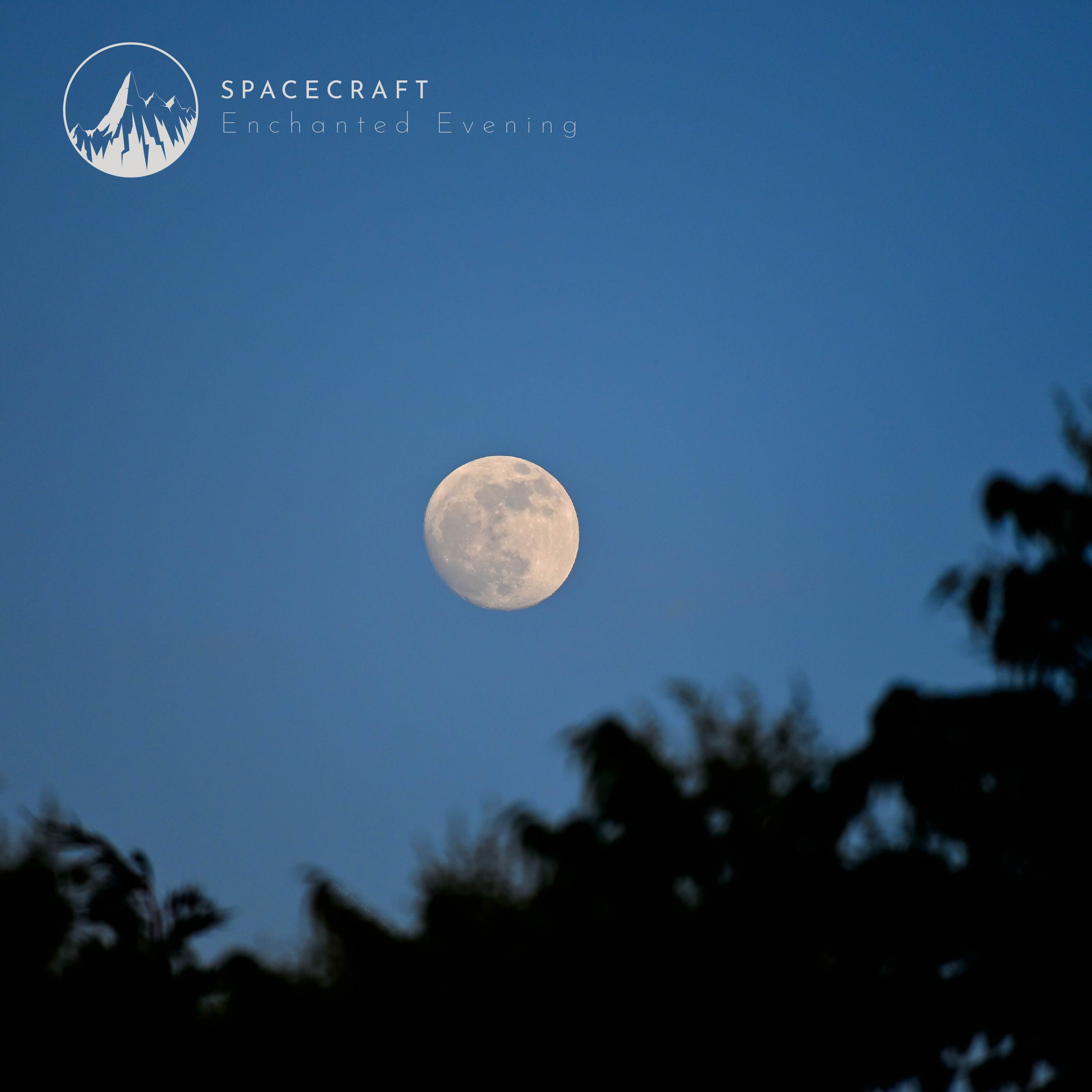 Enchanted Evening - Single album cover