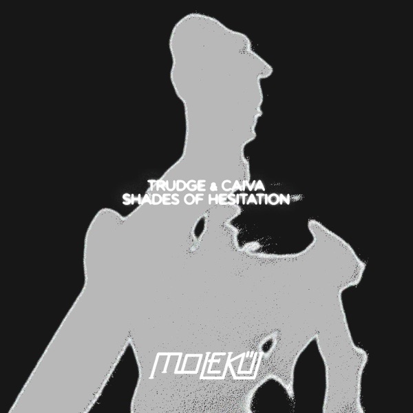 Shades of Hesitation - Single album cover