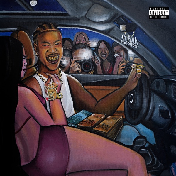 Animais Traidores 2 - Single album cover