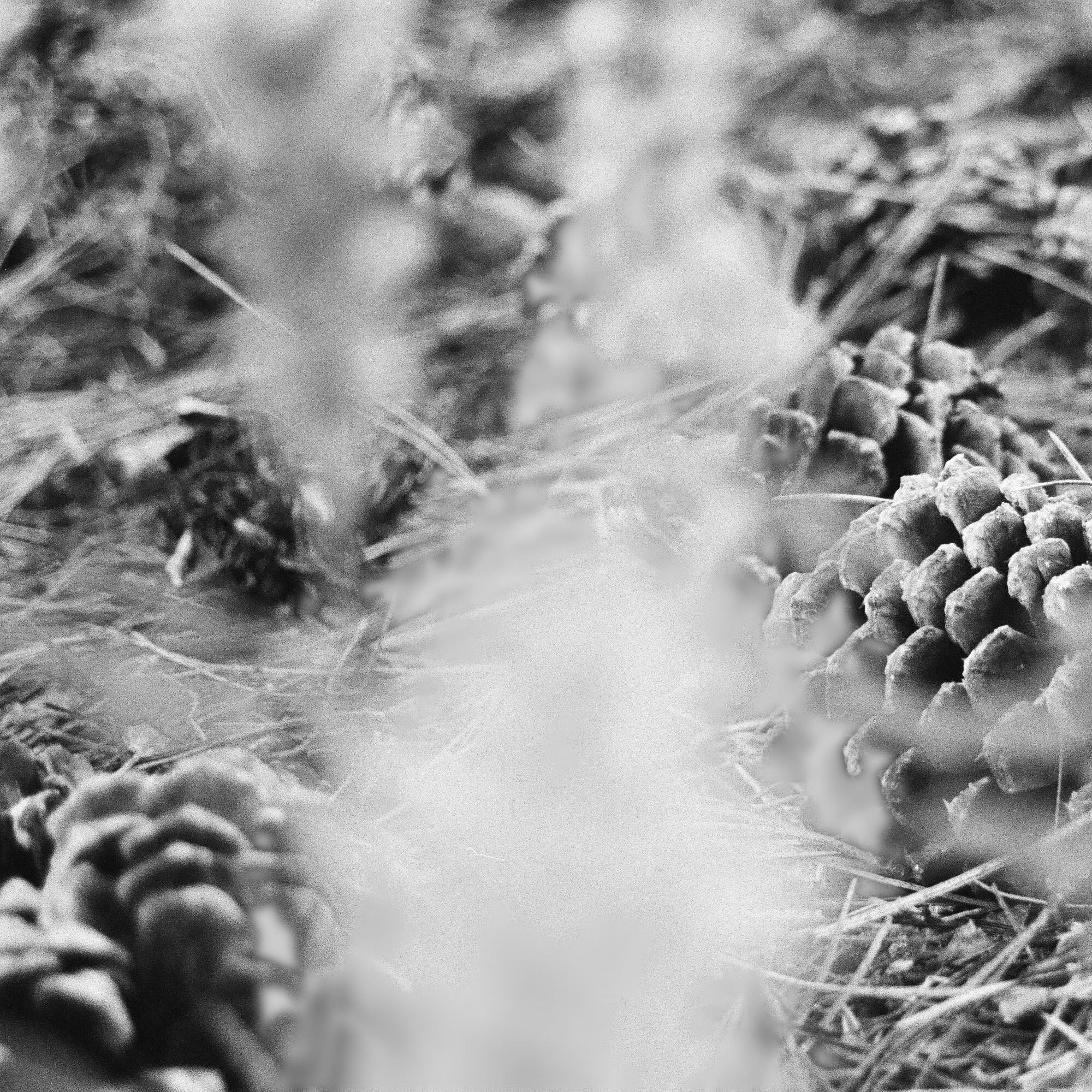 Certain Path album cover