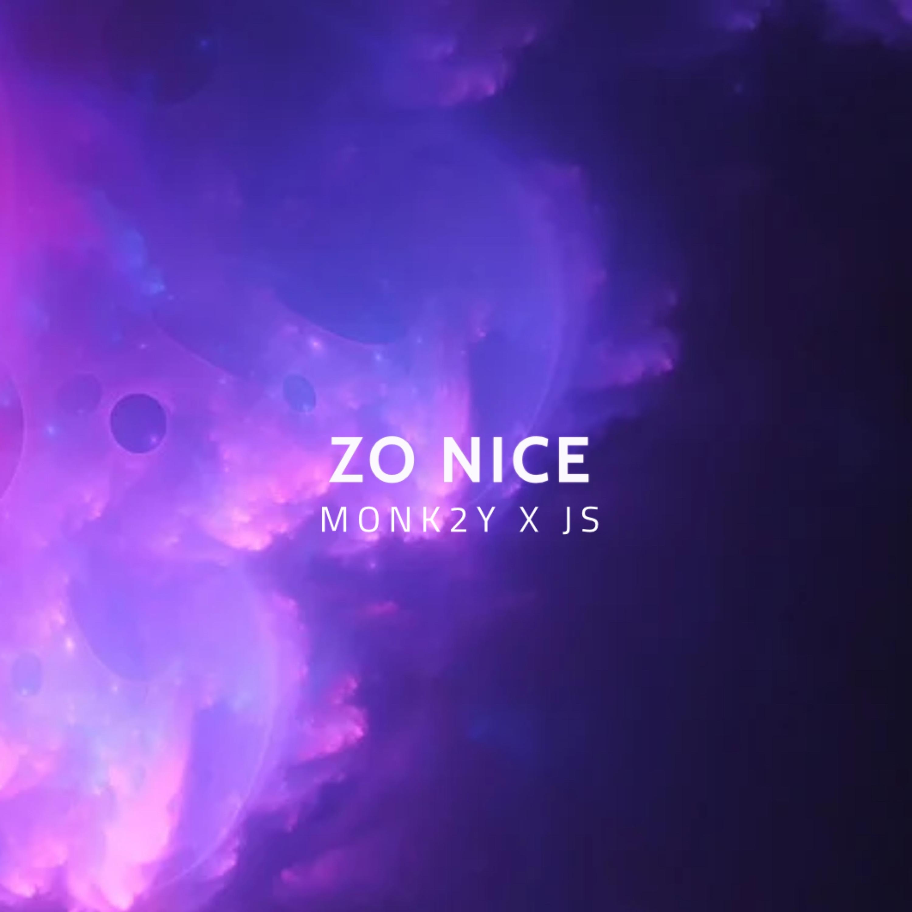 Zo Nice (feat. JS) - Single album cover