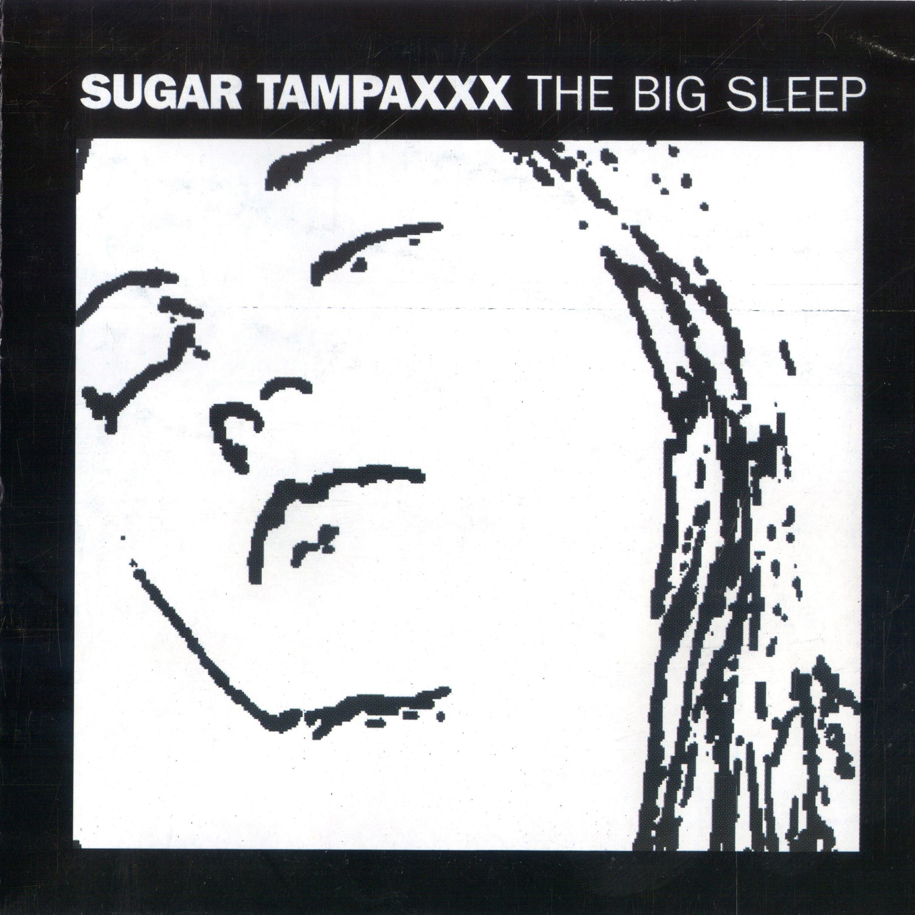 The Big Sleep album cover