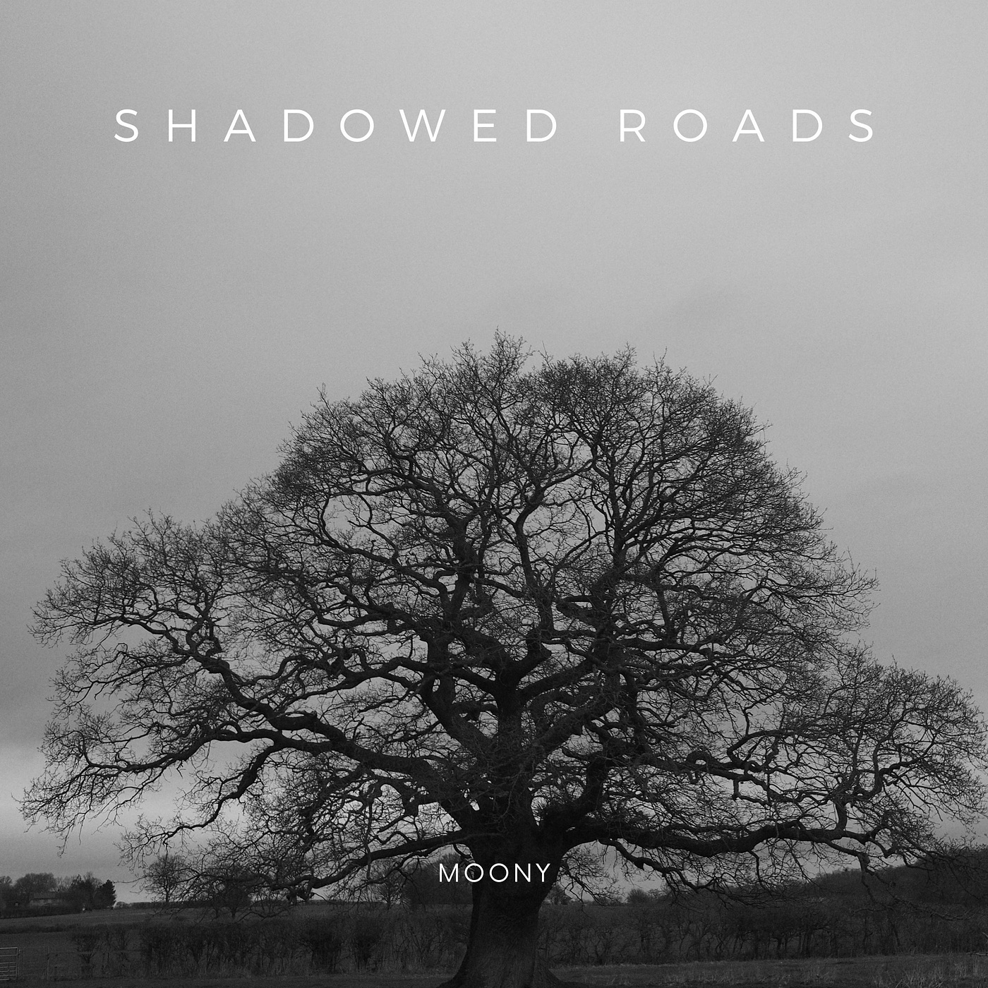 Shadowed Roads - Single album cover