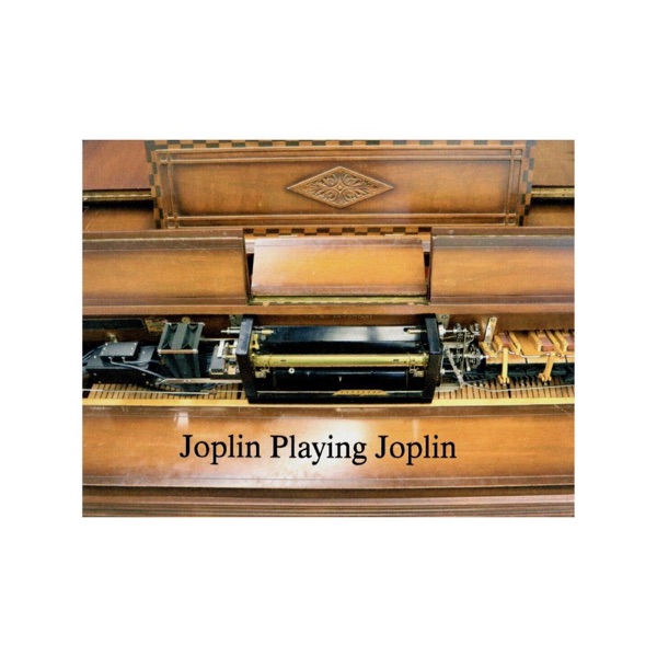 Joplin Playing Joplin album cover