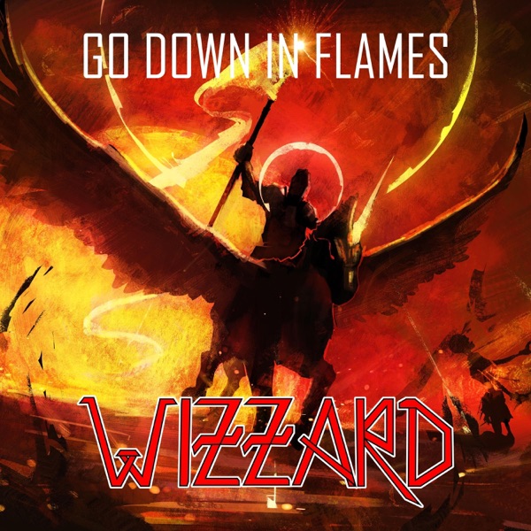 Go Down in Flames (Live) - Single album cover