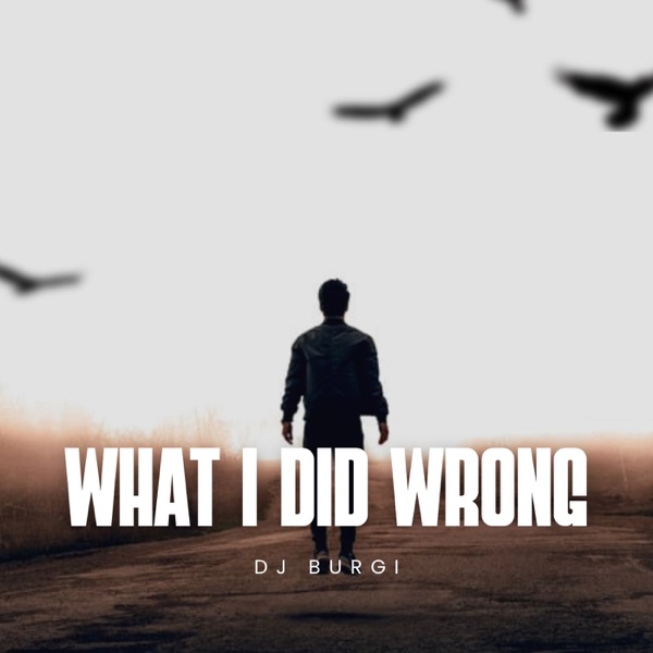 What I Did Wrong (feat. Blue Lagoon) - Single album cover