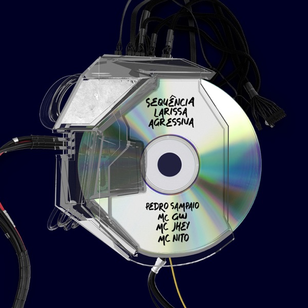 SEQUÊNCIA LARISSA AGRESSIVA - Single album cover