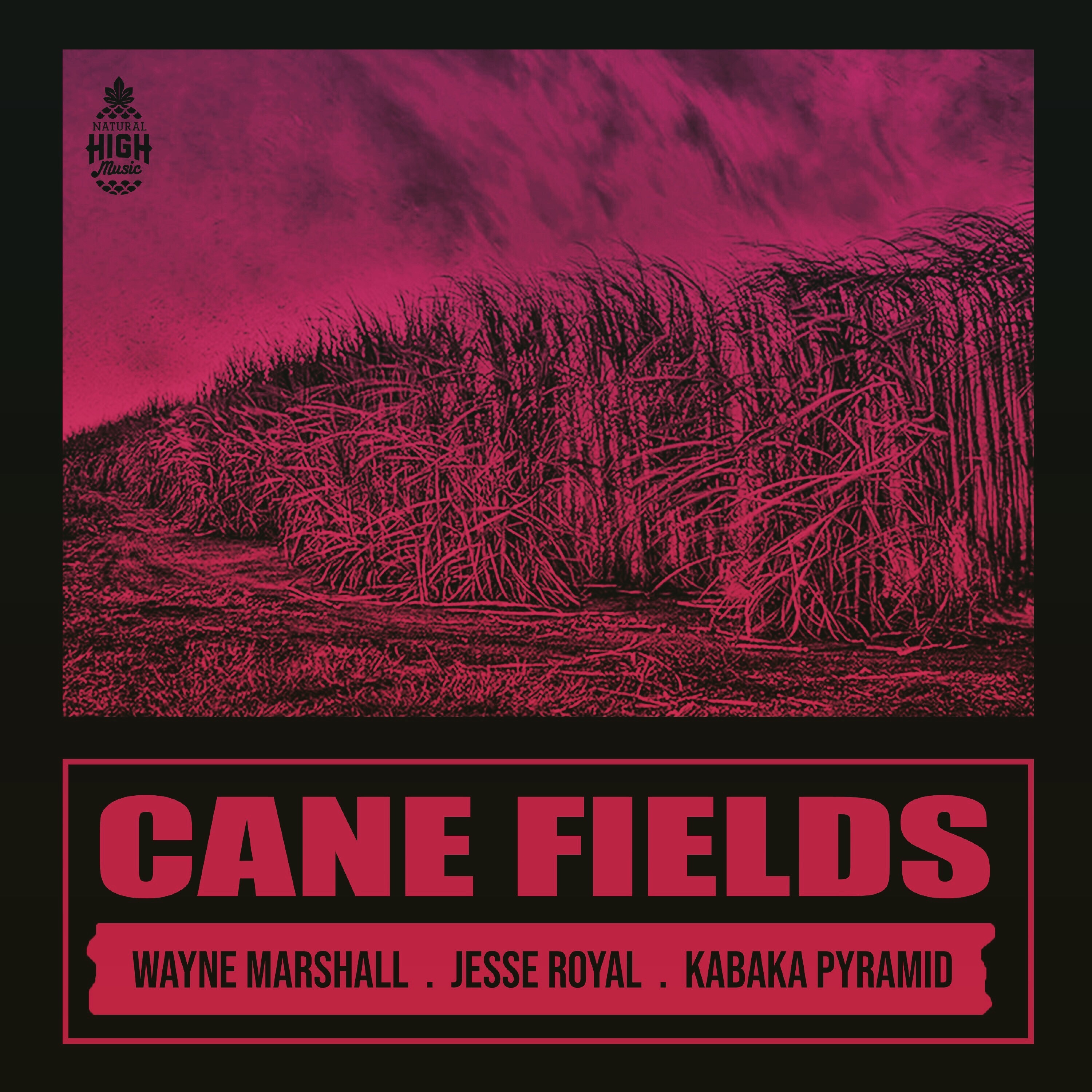 Cane Fields - Single album cover
