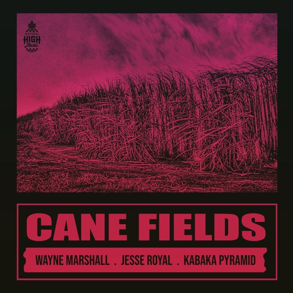 Cane Fields - Single album cover