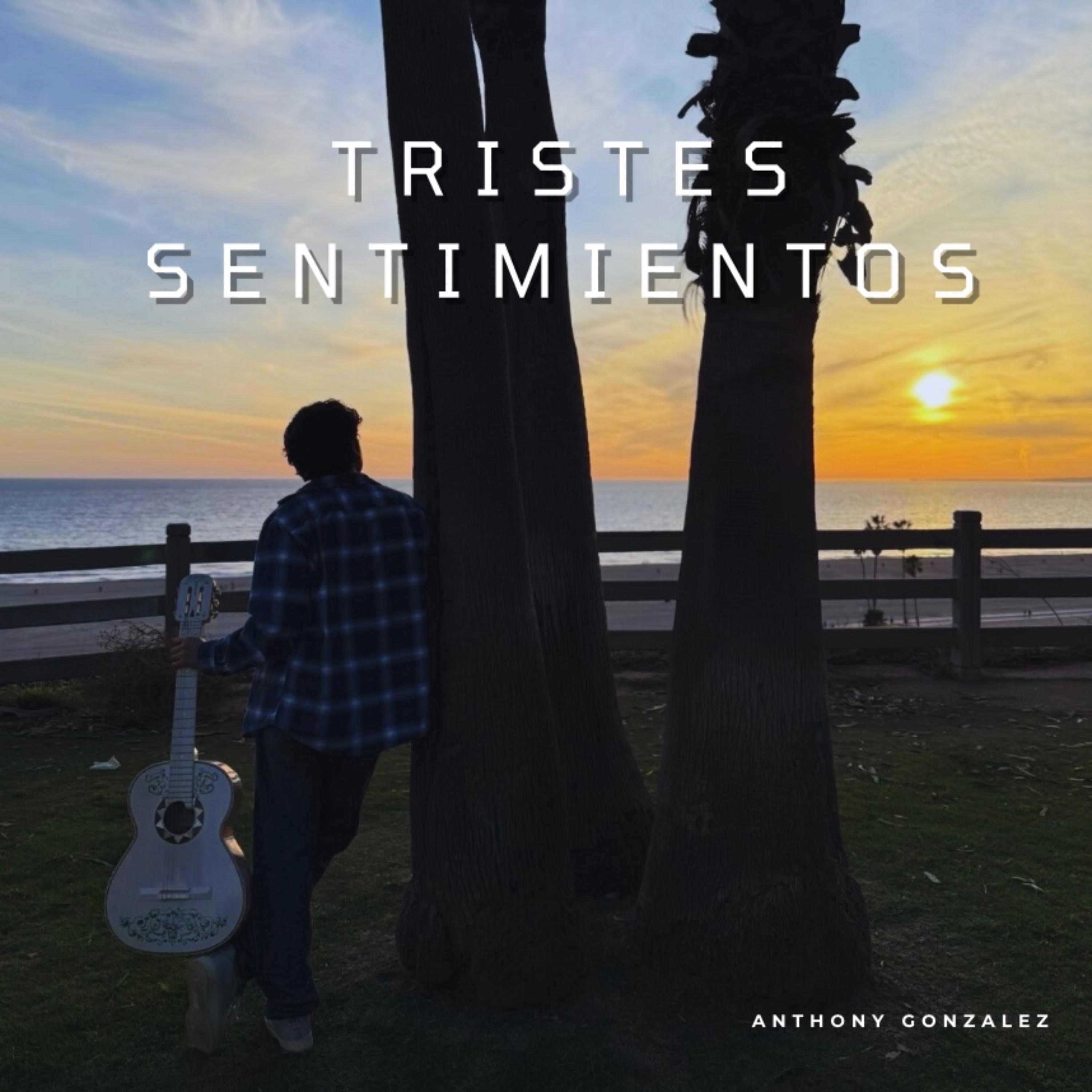 Tristes Sentimientos - Single album cover