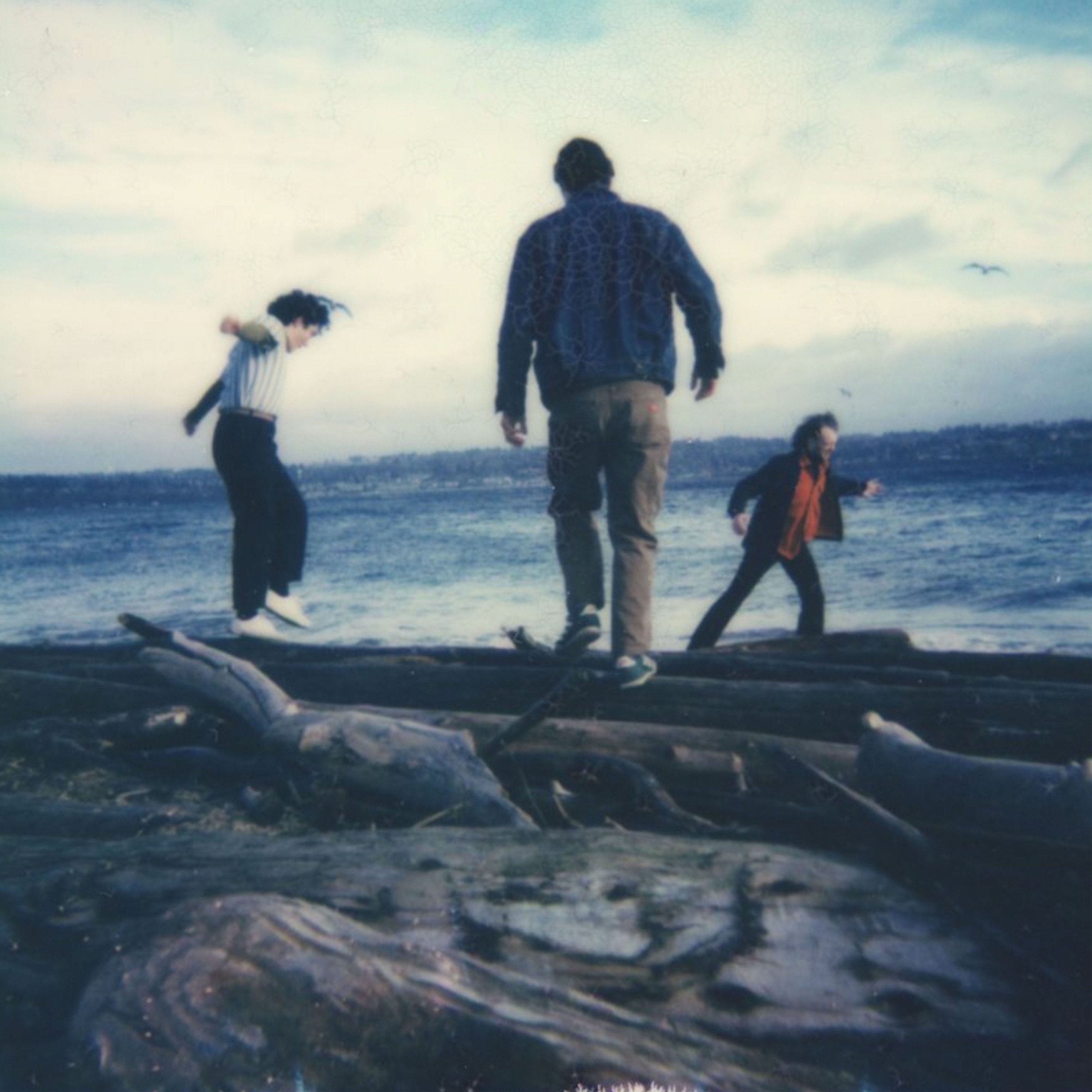 Did I Just Die - Single album cover