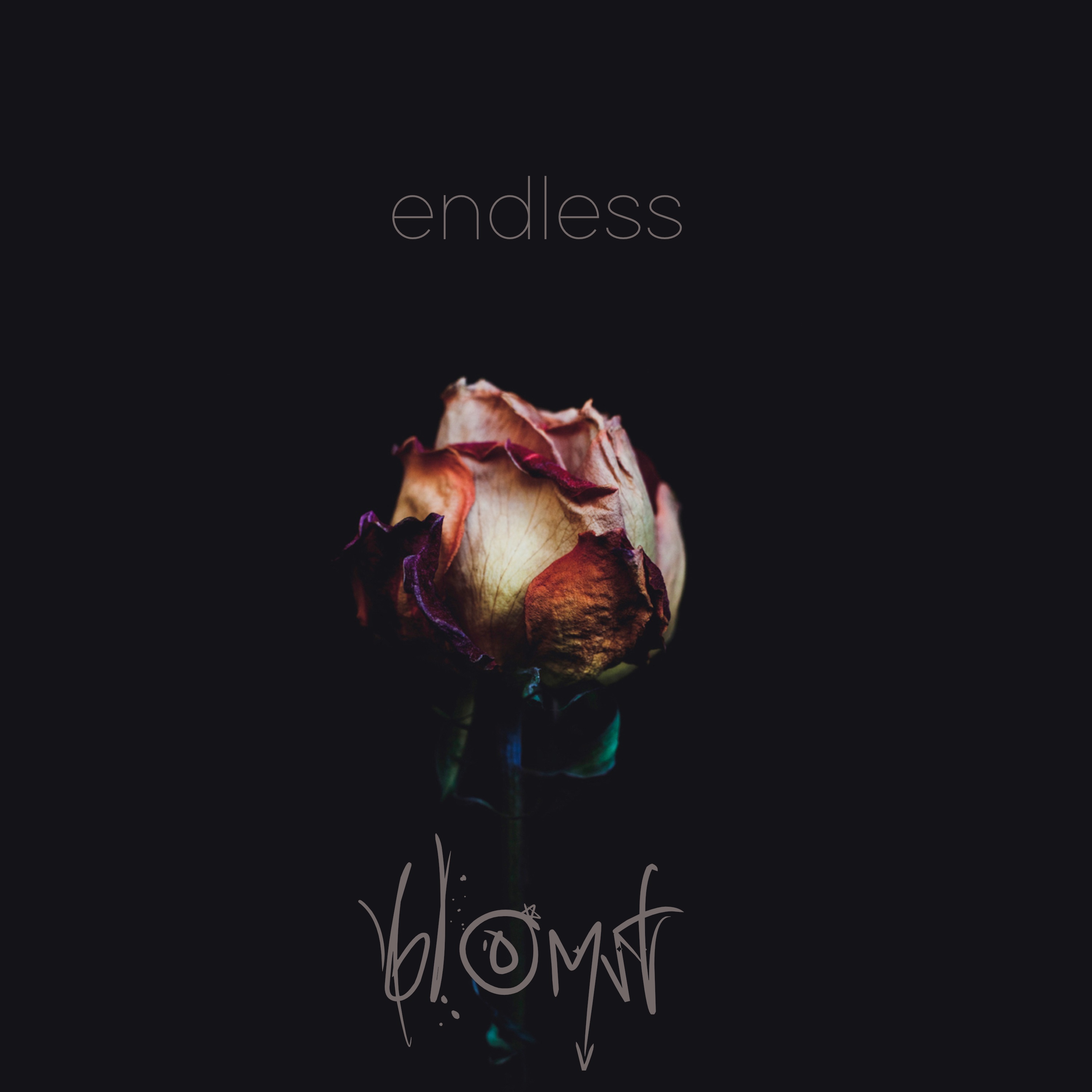 Blomst - Single album cover