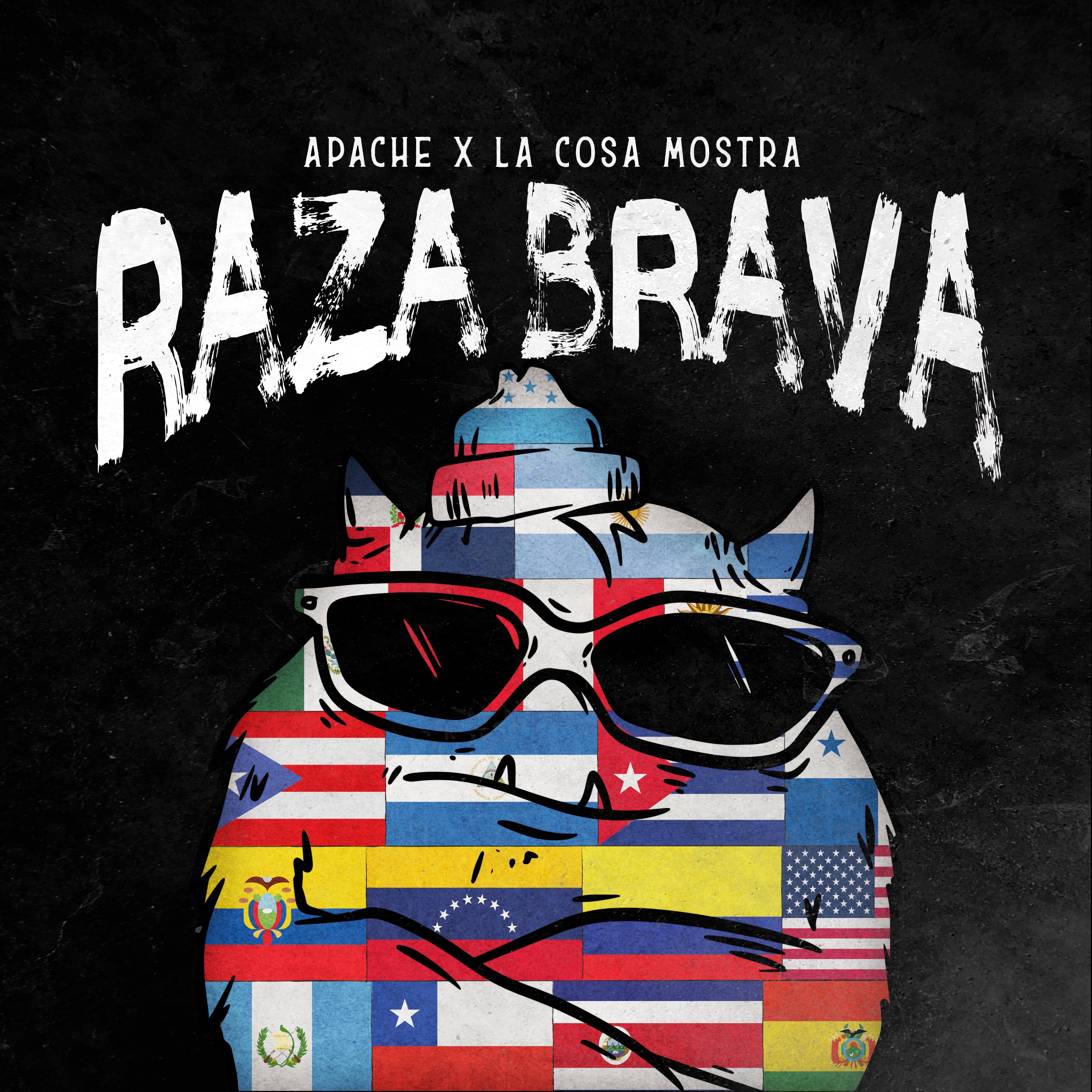 Raza Brava - Single album cover