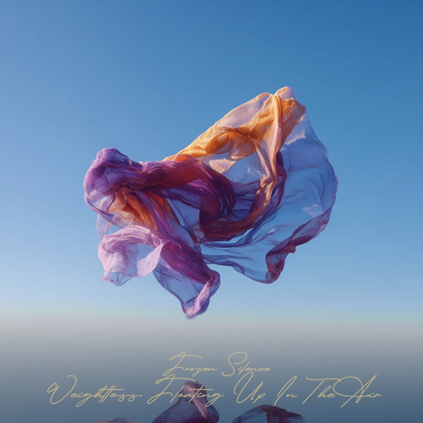 Weightless, Floating Up In The Air - Single album cover