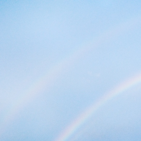 NEVER ENOUGH album cover