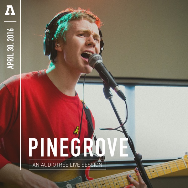 Pinegrove (Audiotree Live) album cover