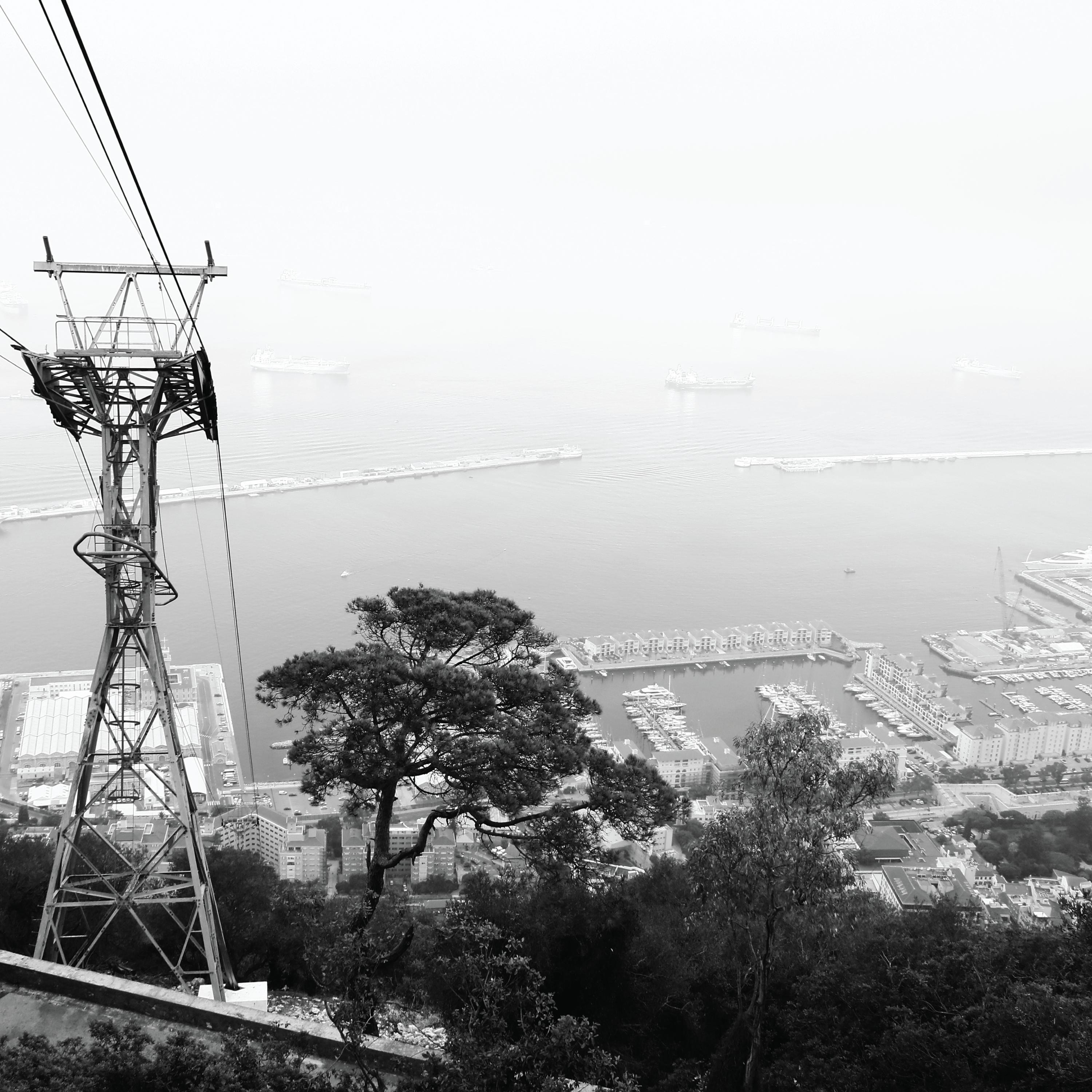 In the Belly of a Whale (Single Version) - Single album cover