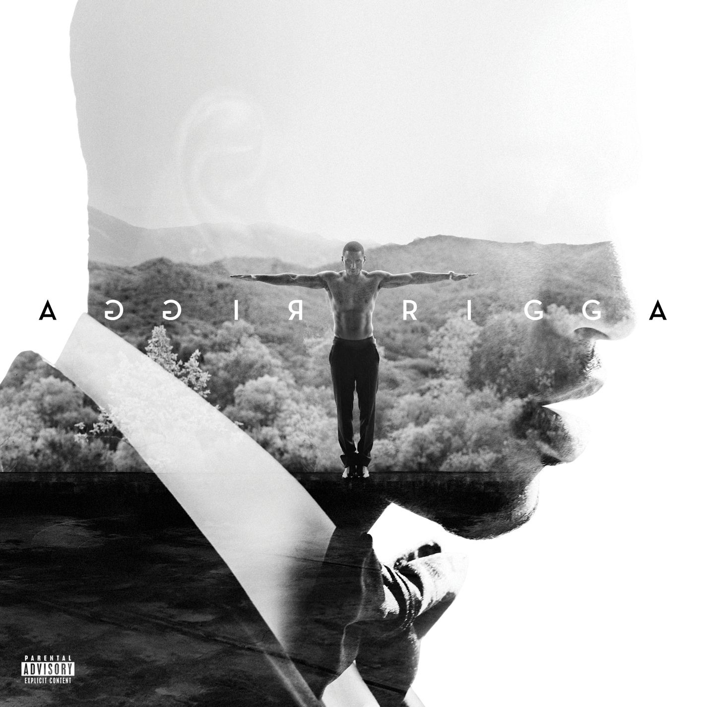 Trigga (Deluxe) album cover
