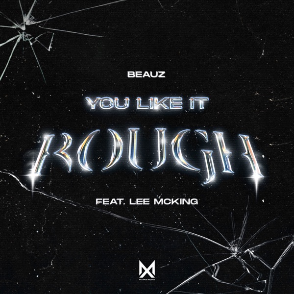 You Like It Rough (feat. Lee McKing) [Extended Mix] - Single album cover