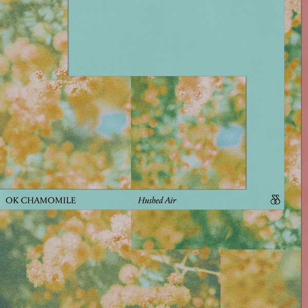 Hushed Air album cover