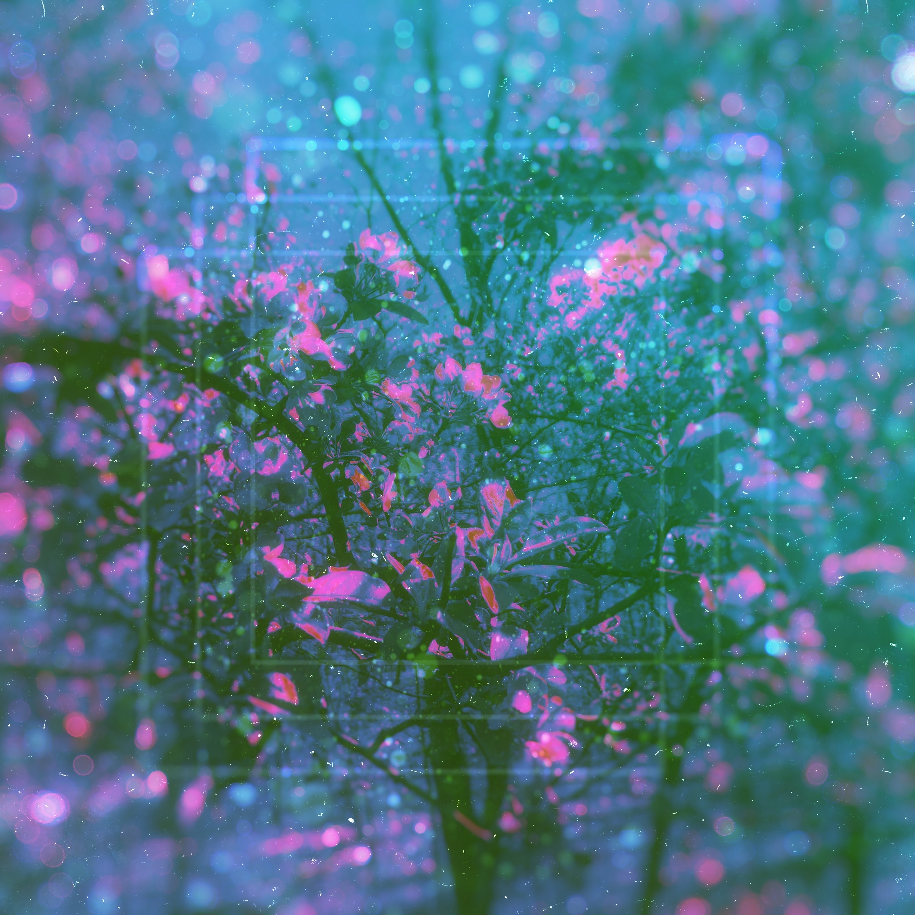 Subliminal - EP album cover