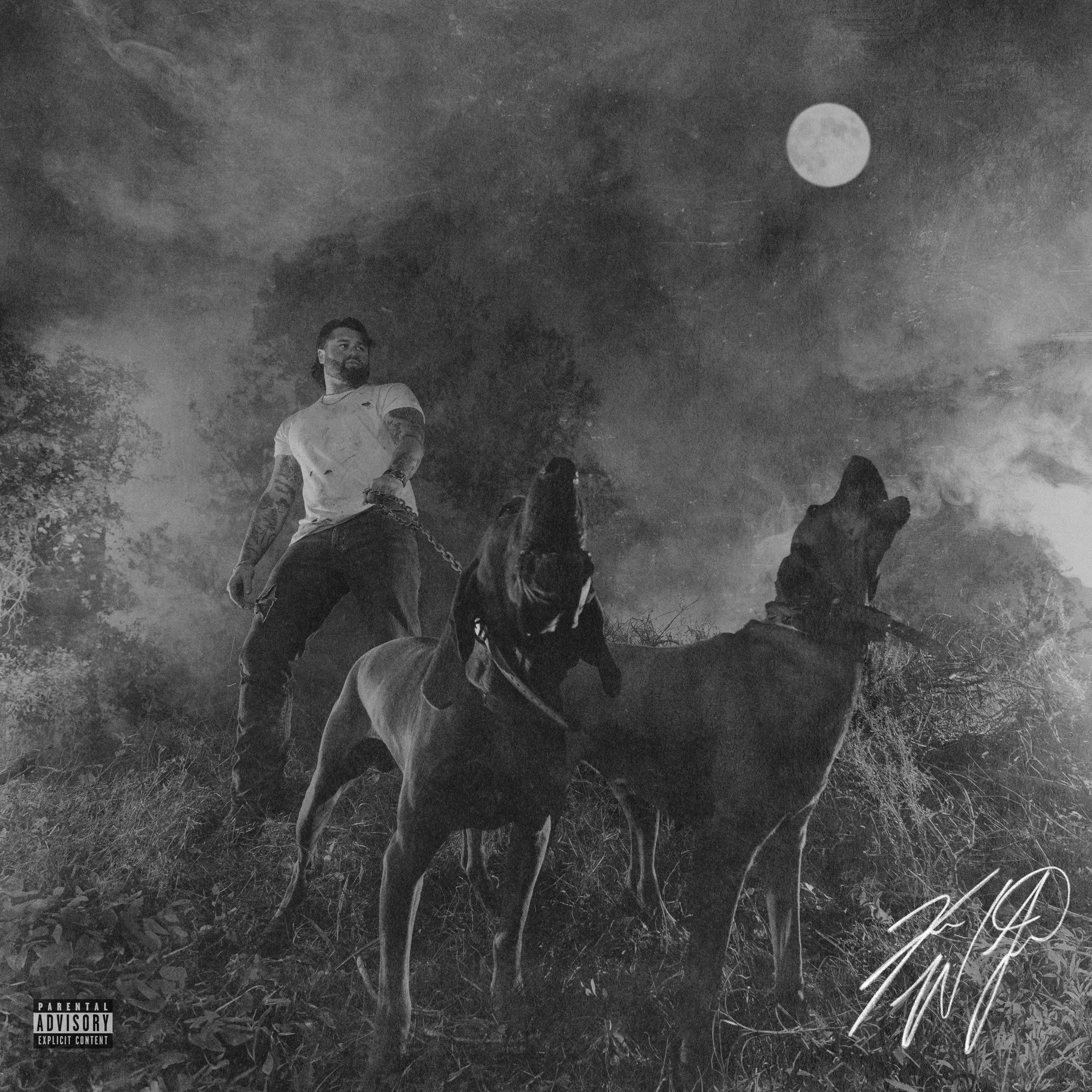 The Night Champion album cover