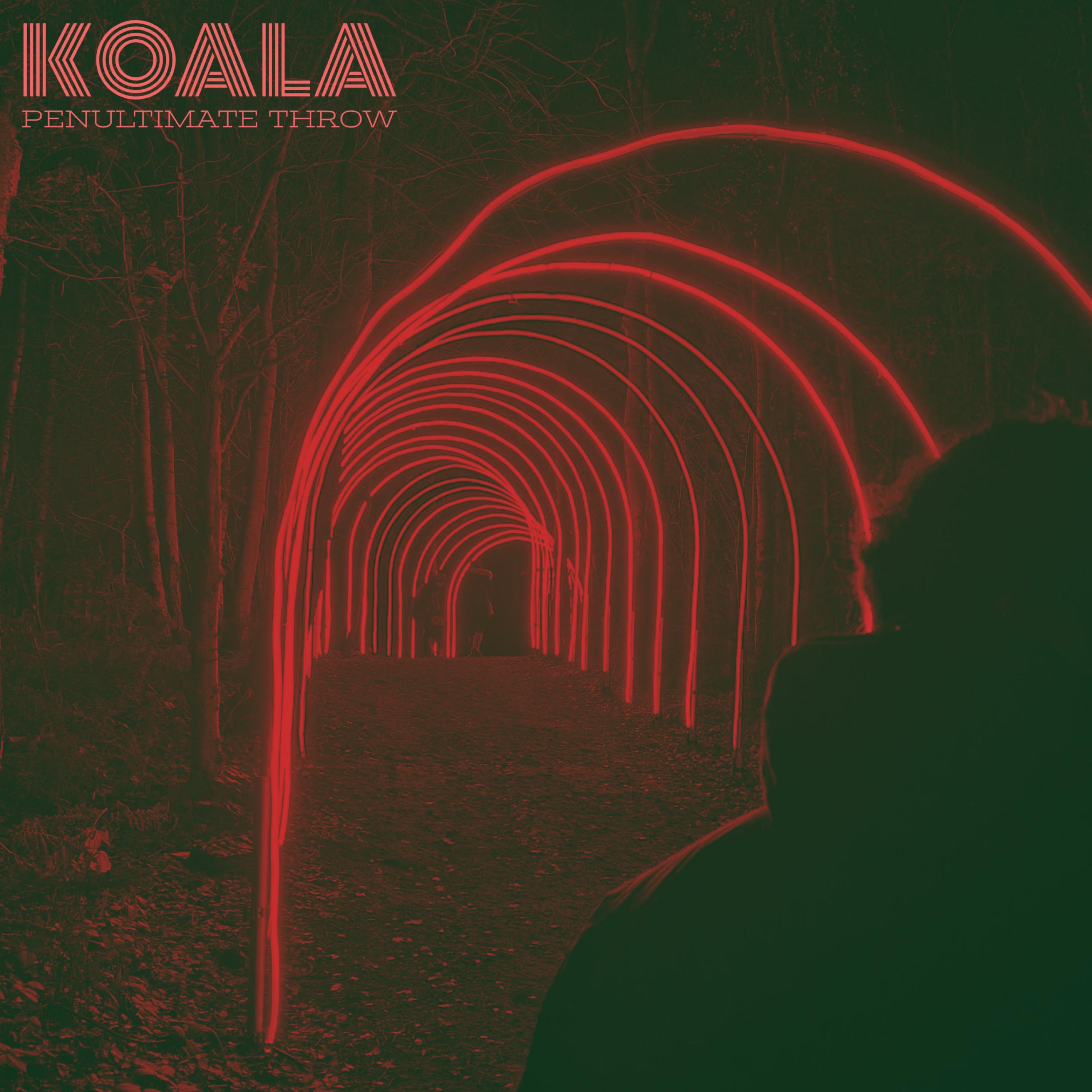 PENULTIMATE THROW - Single album cover
