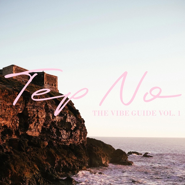 The Vibe Guide, Vol. 1 album cover