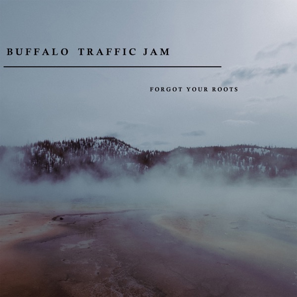 Forgot Your Roots - Single album cover