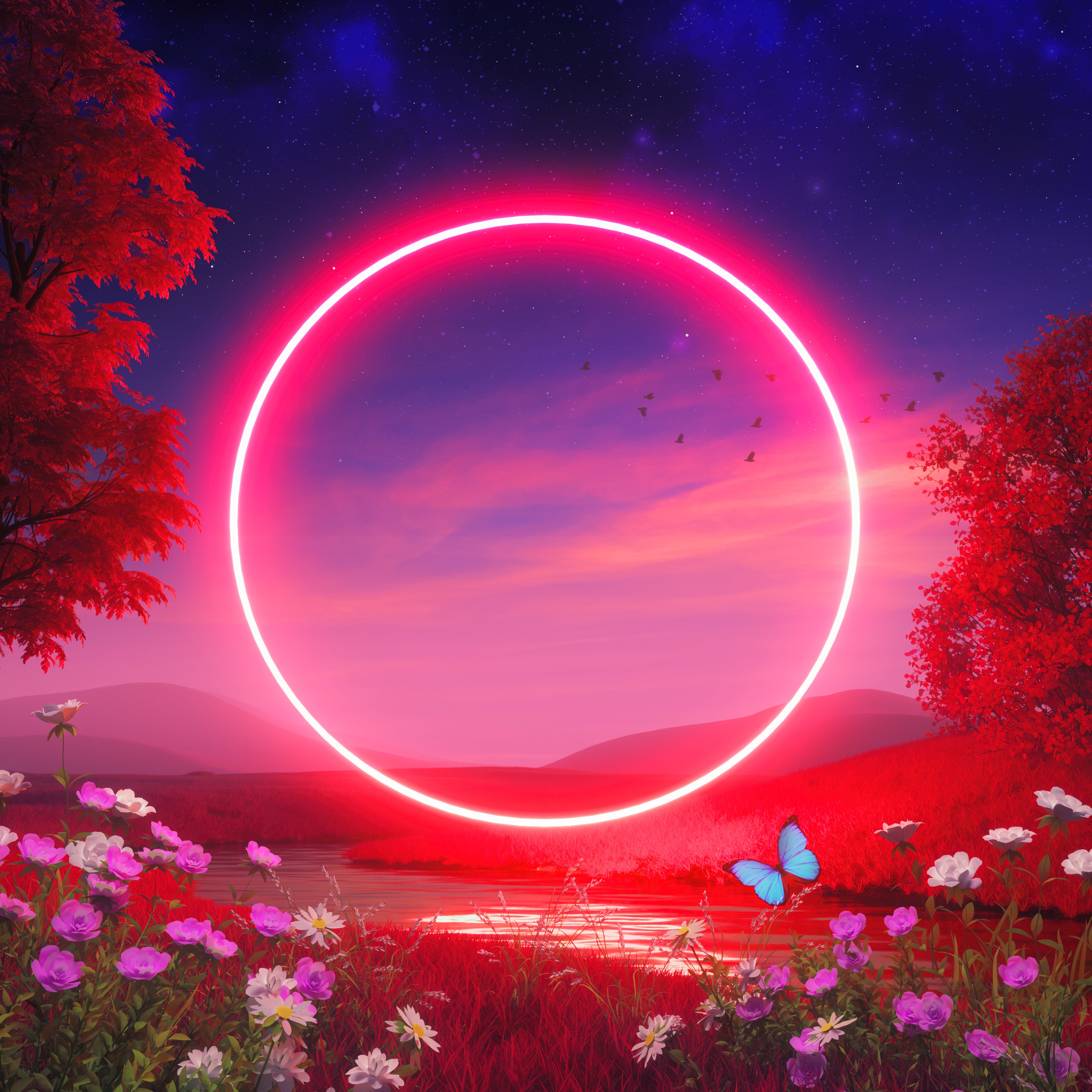 HONEYCOATED album cover