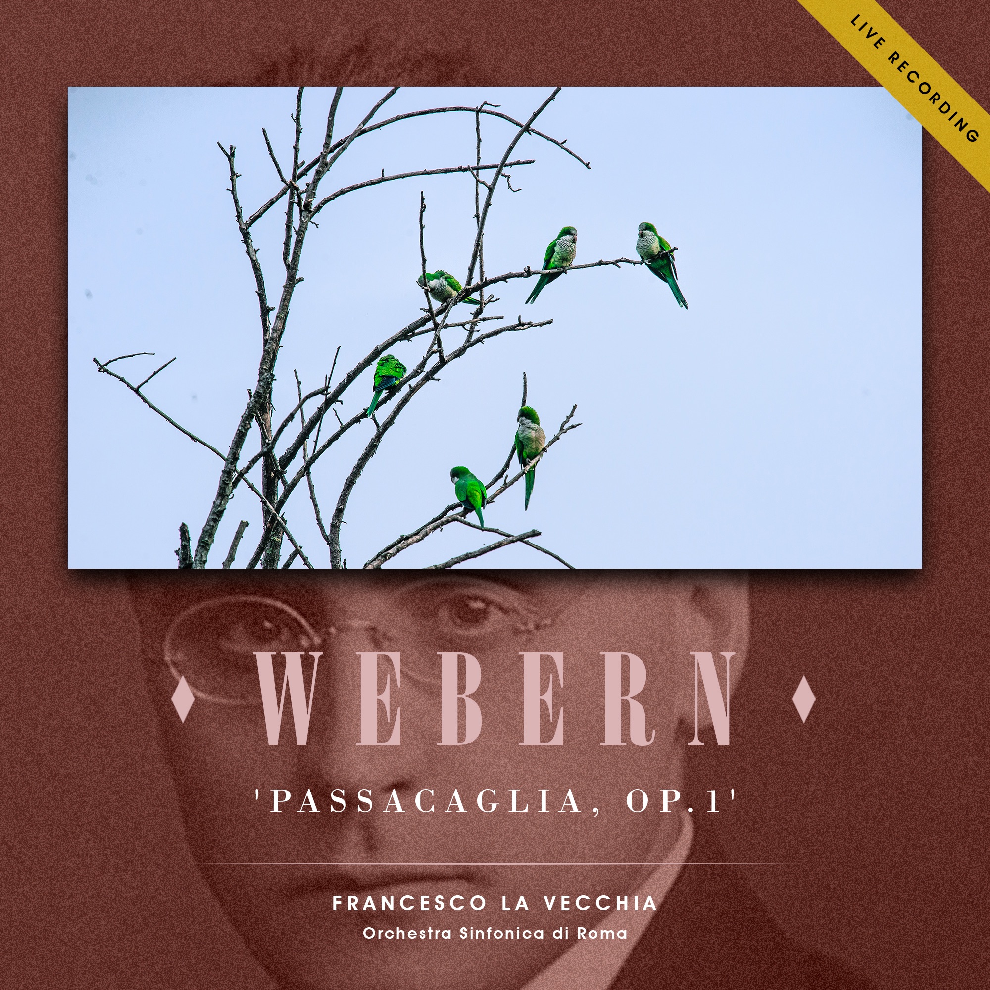 Webern: Passacaglia in D Minor, Op. 1 (Live Recording) - EP album cover