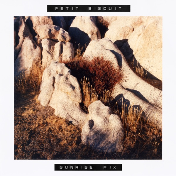 A Day with Petit Biscuit: SUNRISE (DJ Mix) album cover