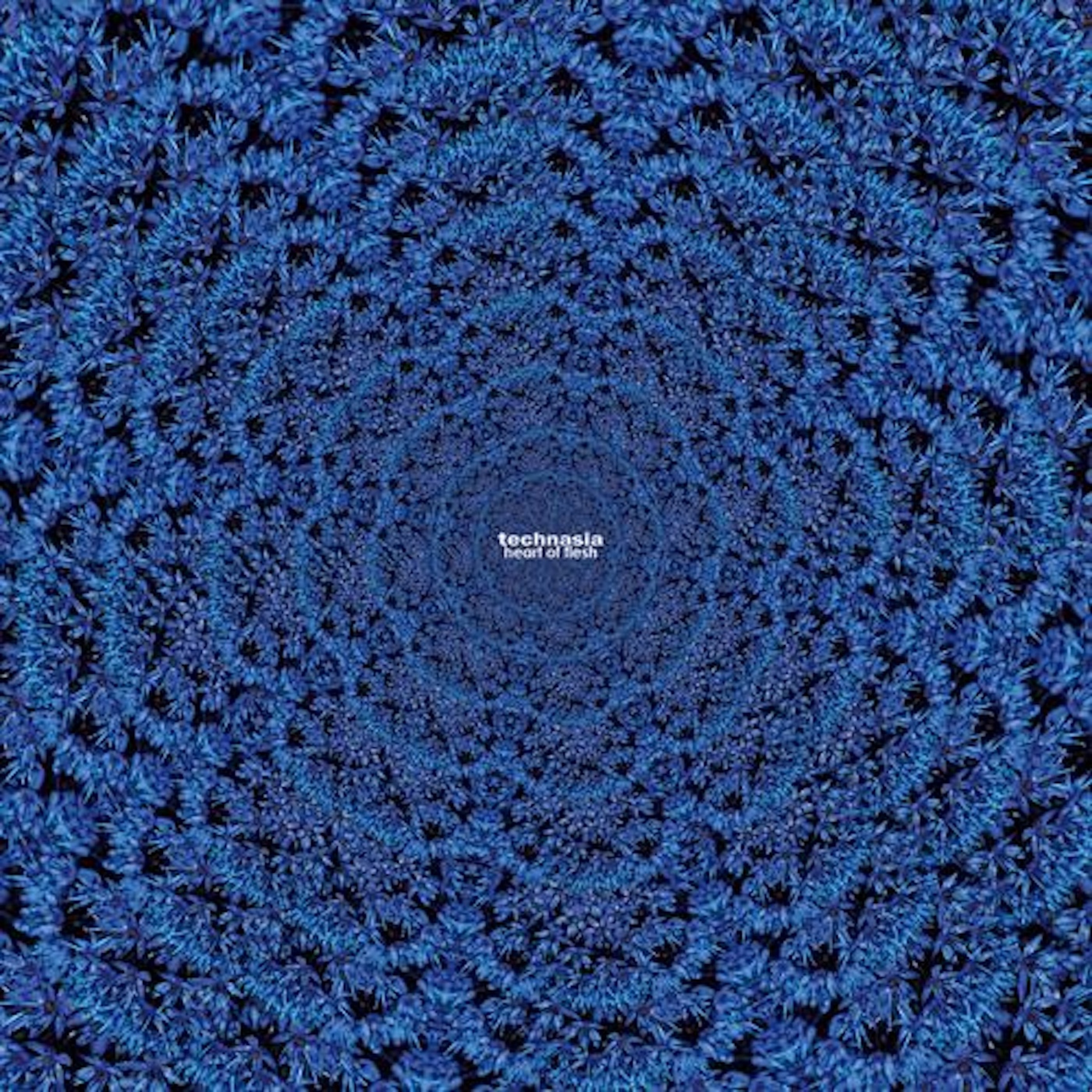 Heart of Flesh - Single album cover