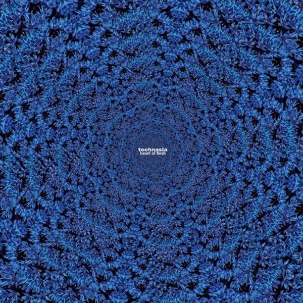 Heart of Flesh - Single album cover