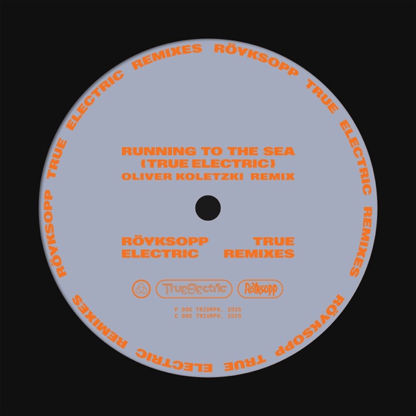 Running To The Sea (Oliver Koletzki Remix) [feat. Susanne Sundfør] - Single album cover