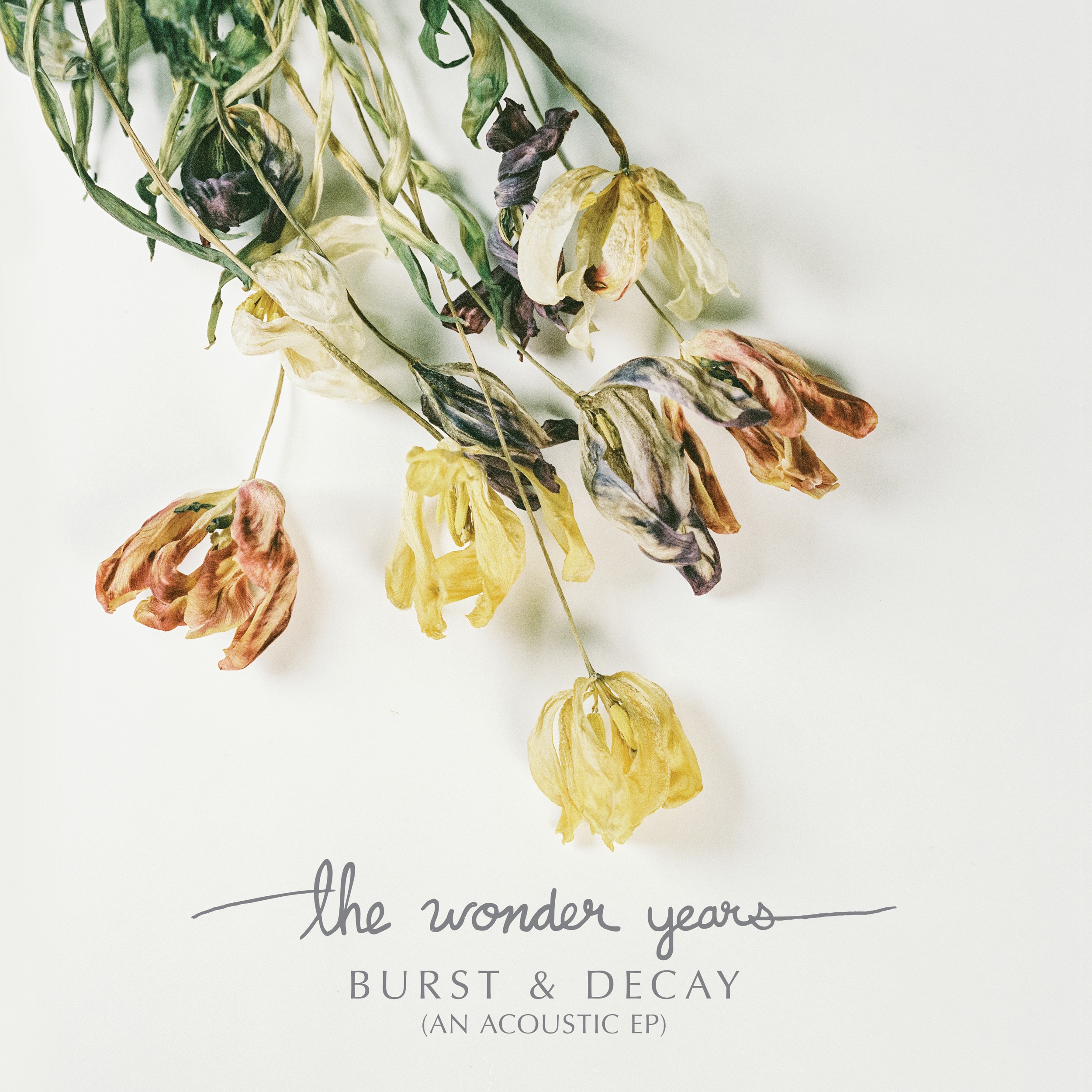 Burst & Decay (An Acoustic EP) album cover