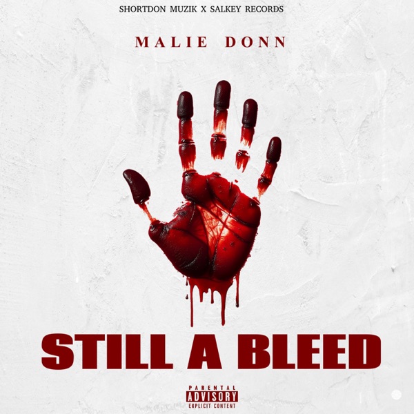 Still A Bleed - Single album cover