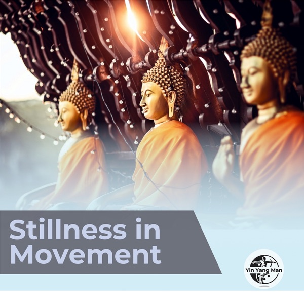 Stillness in Movement album cover