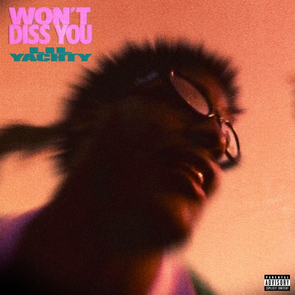 Won't Diss You - Single album cover