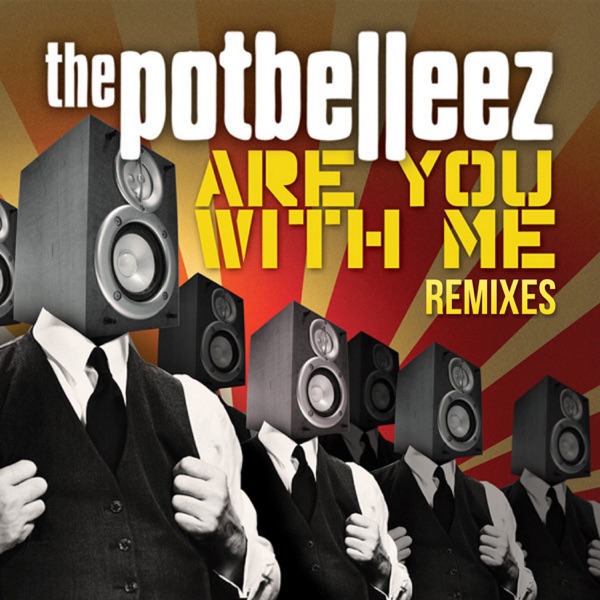 Are You With Me (Remixes) - Single album cover