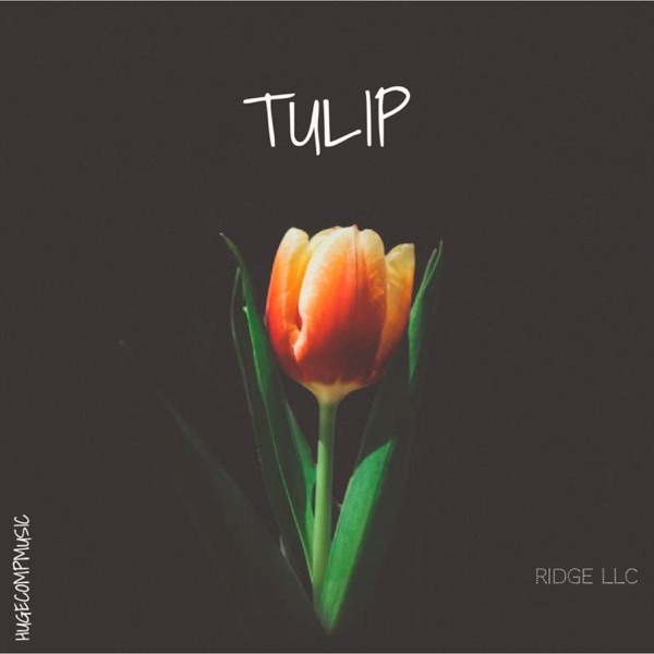 Tulip (feat. Lost Sky, Leavv & Unknown Brain) - Single album cover