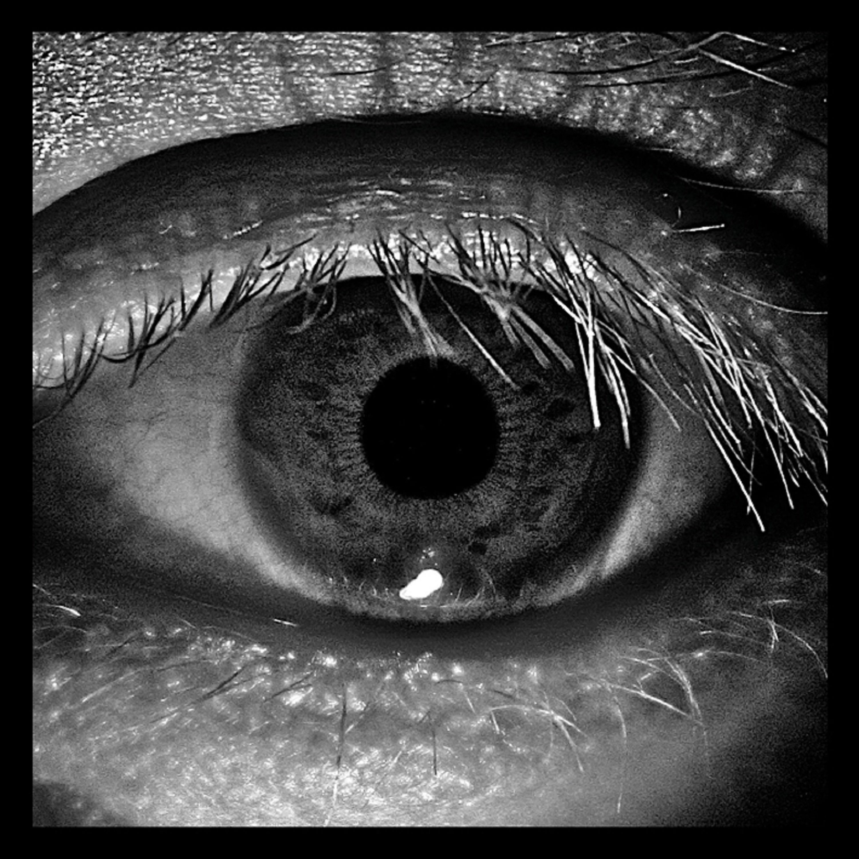 Hipnosis album cover