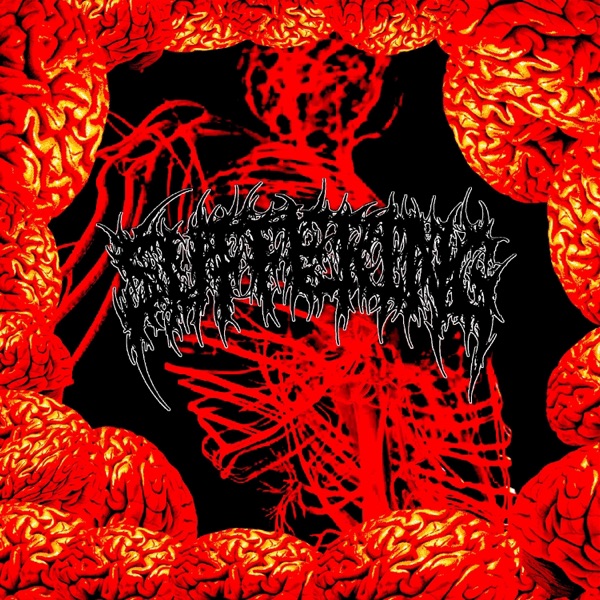 YOU SHOULD SHOOT YOURSELF IN THE F*****G FACE (feat. Volcano) - Single album cover