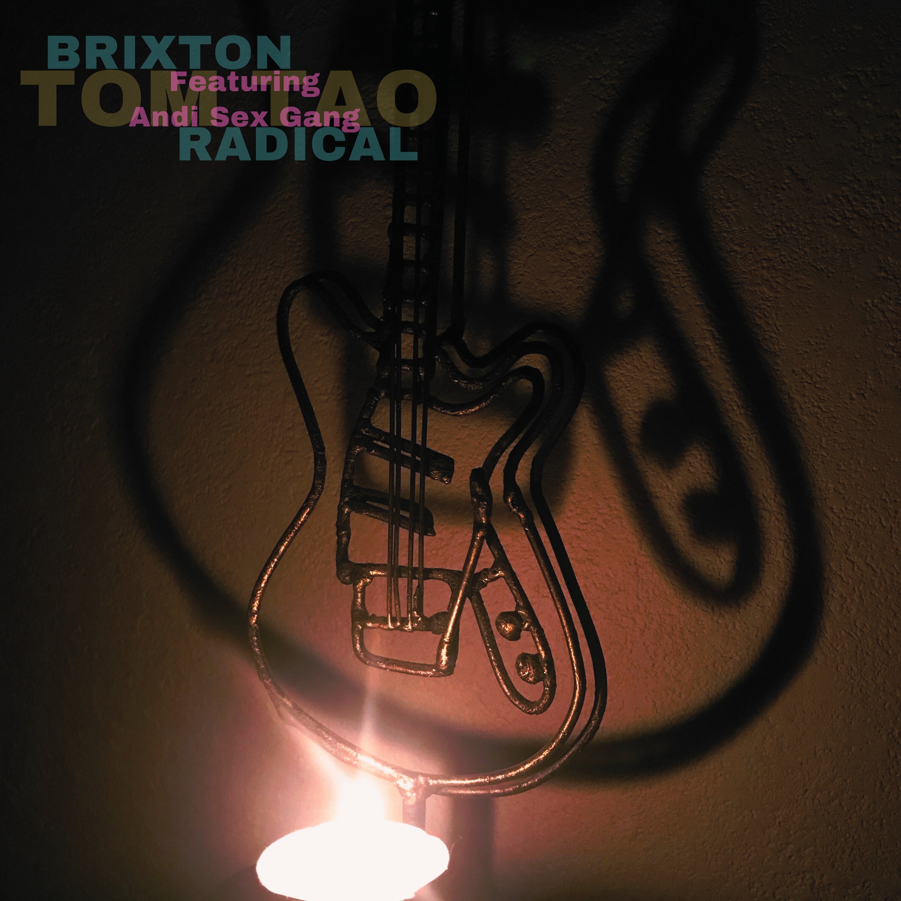 Brixton Radical (feat. Andi Sex Gang) - Single album cover