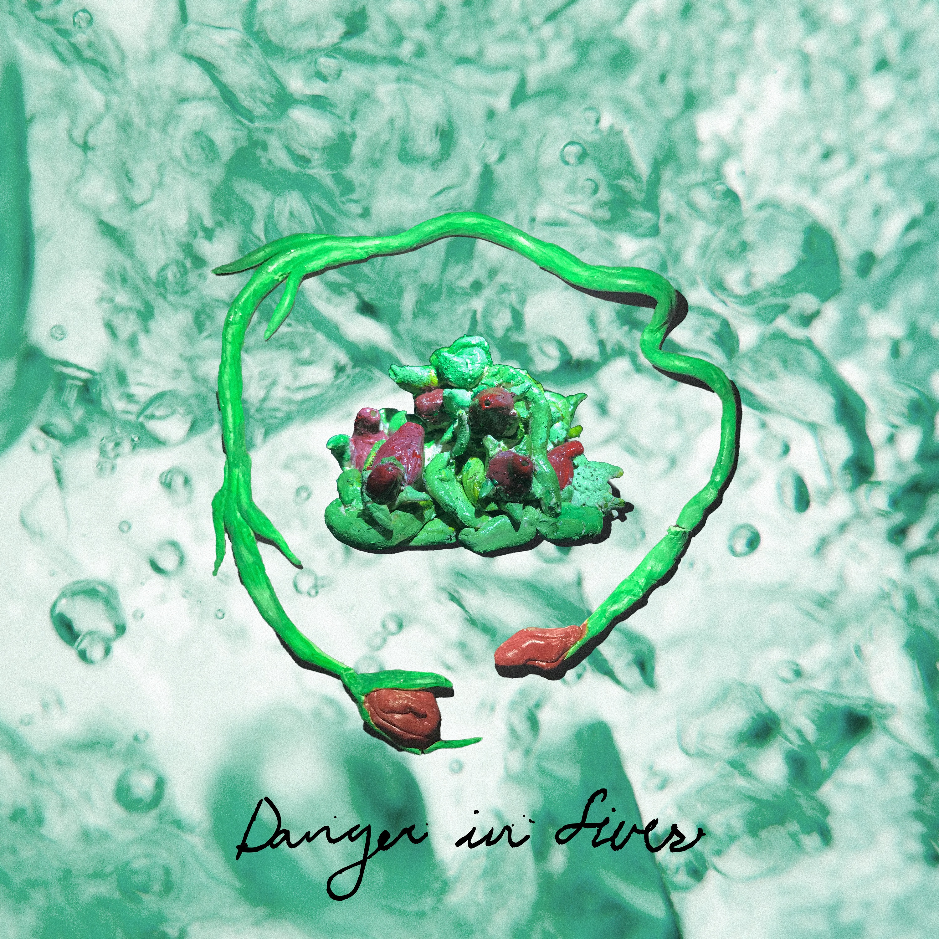 Danger in Fives album cover