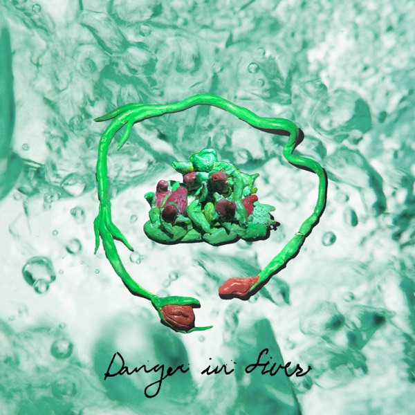 Danger in Fives album cover